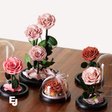 Everlasting Preserved Medium Size Rose Glass Dome