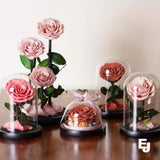 Everlasting Preserved Medium Size Rose Glass Dome