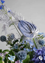 Fresh Mixed Flowers Gift Jar