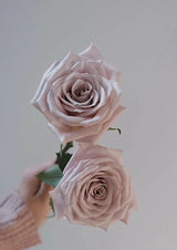 EVITA.J Rose Bunch Evita.J