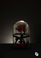 Everlasting Preserved Large Size Rose Glass Dome